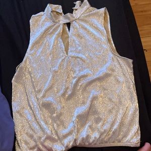 Shinny and cute blouse. Express Large